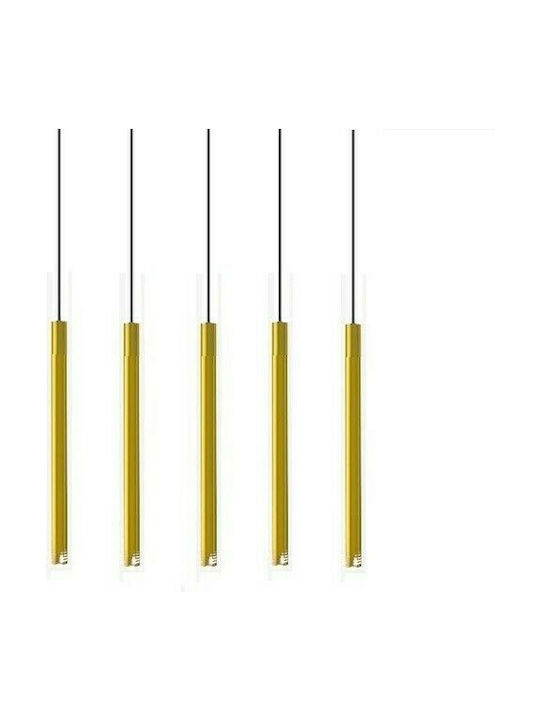 Luma S Pendant Chandelier Rail for 5 Bulbs G9 Gold