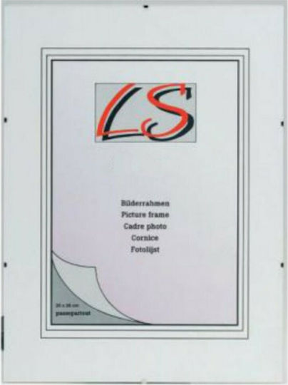 LS Wall Photo Frame No Frame 21x30