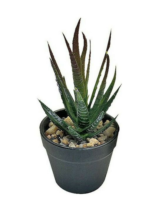 HOMie Artificial Plant in Small Pot Cactus 1pcs