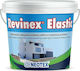 Neotex Revinex Elastic Plastic Paint for Exterior Use White 1lt