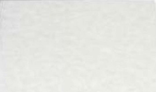 Favini Hârtie de Imprimare Papyrus A4 180gr/m² 1x1 foi