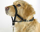 Trixie Training Dog Muzzle with Small 22cm Collar