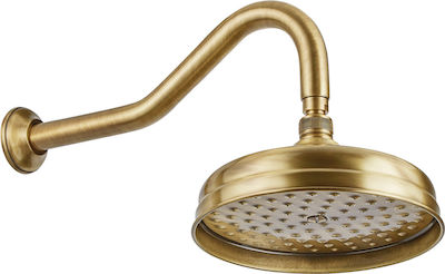 Bugnatese Brass Round Wall Mount Showerhead Bronze Ø20cm Denver