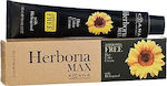 Kyana Herboria Max Ammonia Free Hair Dye no Ammonia 9/08 Blonde Malt 100ml