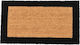 Entrance Mat Brown 33x60cm