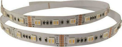 Eurolamp LED Streifen Versorgung 24V mit Warmes Weiß Licht Länge 5m und 60 LED pro Meter SMD2835