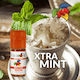 Flavour Art Άρωμα Xtra Mint 10ml 1τμχ