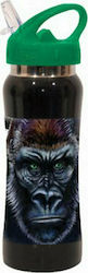 No Fear Stainless Steel Kids Water Bottle with ...