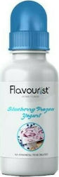 Flavourist E-Zigaretten Aromakonzentrate Blueberry Frozen Yogurt 15ml