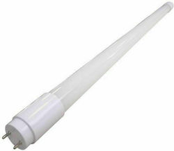 Eurolamp Λάμπα LED Τύπου Φθορίου 120cm για Ντουί G13 και Σχήμα T8 Ψυχρό Λευκό 1900lm