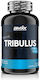 BMXX Tribulus 200mg Supplement for Libido and Testosterone Enhancement 60 Tablets