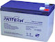 Pattern Battery PT9.0-12 Μπαταρία UPS με Χωρητι...