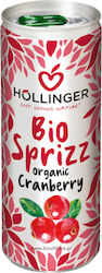 Hollinger Băutură energizantă cu Carbonatare, Organic 250ml Hollinger Băutură energizantă cu Carbonatare, Organic 250ml