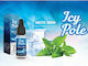 Icy Pole Lichid de Reumplere Gata Arctic Snow cu Aromă de Menta 3mg 10ml