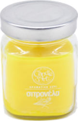 Candle n'Art Εντομοαπωθητικό Κερί για Κουνούπια 370ml