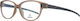 Rodenstock Plastic Eyeglass Frame Beige R8016 B