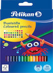 Pelikan Pencils Set 36pcs