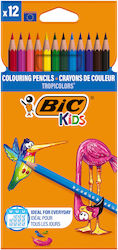 BIC Kids Tropicolors 2er Pack 12 Farben BIC Kids Tropicolors 2er Pack 12 Farben