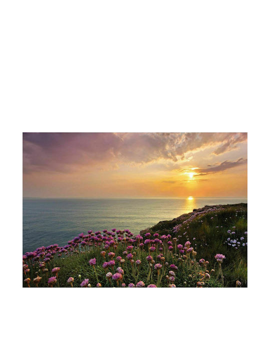 Wall Mural L368xW254cm