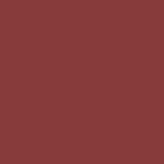 Next Carton Colaj 50x70cm. Burgundy