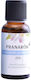 Pranarom Zen Органично Етерично Масло Zen 30ml