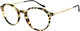 Men's Brown Tortoise Prescription Eyeglass Frame AR7191 5839
