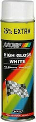 Motip Dupli Spray Paint Professional Result Acr...