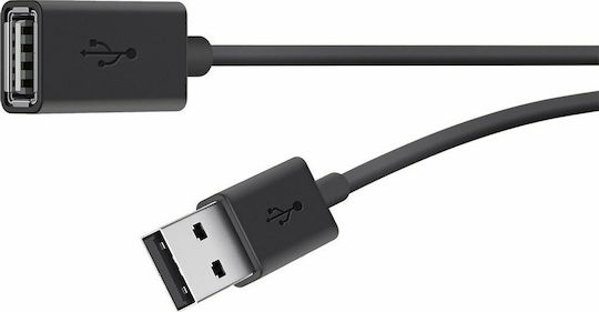Belkin USB 2.0 Kabel USB-A-Stecker - USB-B-Buchse Schwarz 3m F3U153bt3M