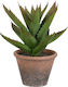 Artekko Artificial Plant in Small Pot Aloe Green 32cm 1pcs