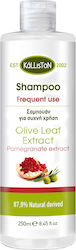 Kalliston Pomergranate Extract Shampoos Hydration & Shine for All Hair Types 250ml Kalliston Pomergranate Extract Shampoos Hydration & Shine for All Hair Types 250ml