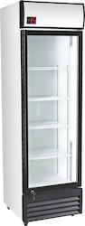 Bonner Negative Kühlschrank Bier Subzero 360Es Einzeltürig H200xB60xT60cm