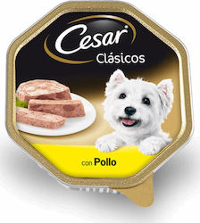 Cesar Wet Dog Food Tray with Chicken 1 x 150gr