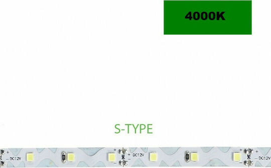 Power Led LED Strip 2RLSTYPE484520 12V Natural White Light 5m Type SMD2835