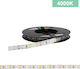 Power Led LED Strip 2RLS64520 12V Natural White Light 5m Type SMD2835