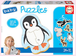 Kids Puzzle Polar Animals for 2++ Years 19pcs Educa