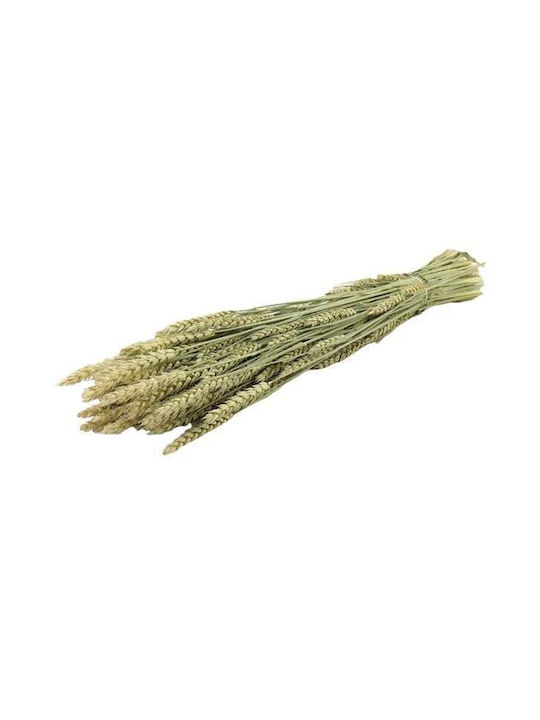 DRIED FLOWER STRAW TRITICUM 200GR NATURAL