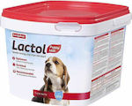 Beaphar Lactol Puppy Milk Powder for Dogs 250gr 250gr