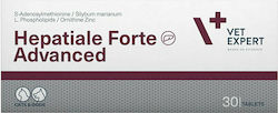 VetExpert Hepatiale Forte Advanced Nahrungsergänzungsmittel für Hunde und Katzen in Tablettenform 30 Registerkarten für Leber 160169