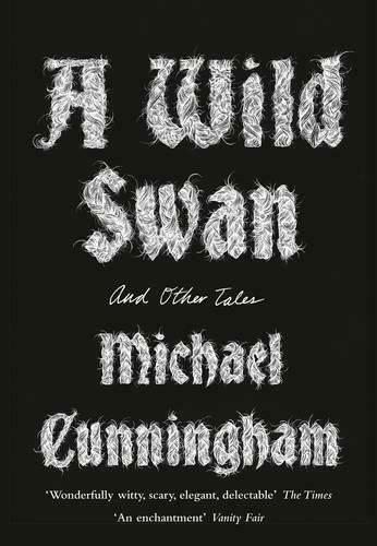 A Wild Swan : And Other Tales Paperback B