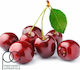 TPA Άρωμα Black Cherry 10ml 1τμχ