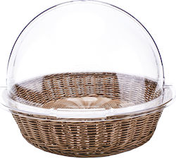 GTSA 71-0286/76-1824 Neutrale Vitrine Rollo 10 GN