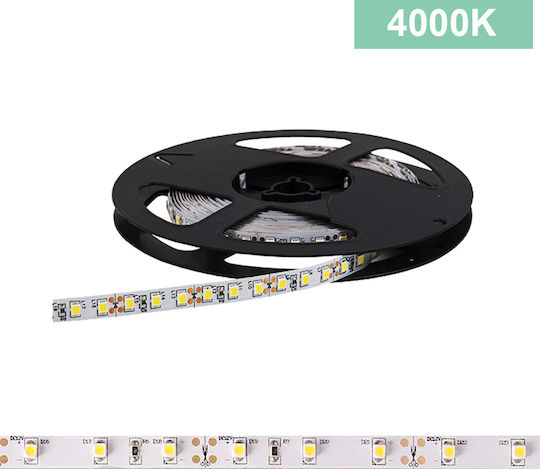Power Led Ταινία LED 2RLS48452024 24V Φυσικό Λευκό Φως 5m Τύπου SMD3528