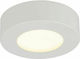 Globo Lighting Paula Modern Metal Ceiling Light with Integrated LED 12.2pcs White