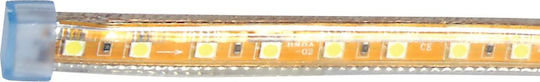 Power Led Ταινία LED 2RLS2301446554 220V Ψυχρό Λευκό Φως 1m Τύπου SMD5050