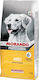 Professional Dog Adult 15kg Dry Food for Adult Dogs with Chicken