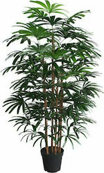 Supergreens Δέντρο Φοίνικας Rhapis 180cm Τεχνητό Δέντρο Εξωτερικού Χώρου 180cm