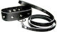 Sportsheets Leather Leash & Collar Κολάρο σε Μαύρο Χρώμα