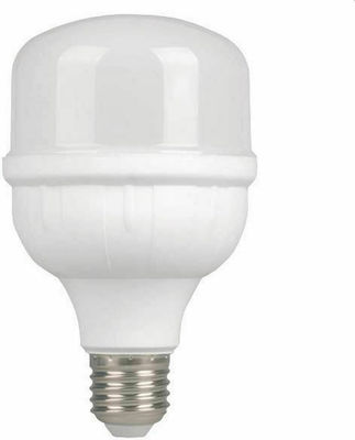 Eurolamp LED Lampen für Fassung E27 und Form T80 Kühles Weiß 1580lm 1Stück