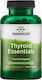 Swanson Thyroid Essentials Supliment Alimentar Special 90 capace