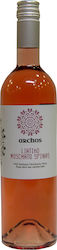 Oinopoieio Paraskeya aRchos Rosé Halbtrocken 750ml